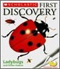 Ladybugs and Other Insects