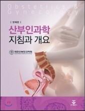 산부인과학
