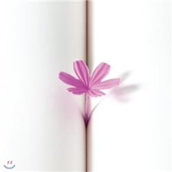 [10%할인]코스모스북마크