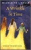 A Wrinkle in Time: Trade Book Grade 6
