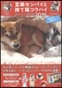 豆柴センパイと捨て猫コウハイカレンダ-MOOK 2016