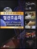 혈관초음파