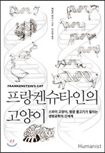 프랑켄슈타인의 고양이