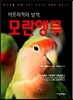 아프리카의 보석 모란앵무