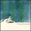 David Darling - Intune