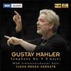 Jukka-Pekka Saraste 말러: 교향곡 9번 (Mahler: Symphony No.9)