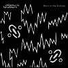 Chemical Brothers - Born In The Echoes (Vinyl)(2LP)
