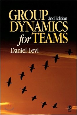 Group Dynamics for Teams