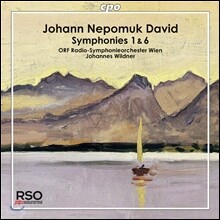 Johannes Wildner 요한 네포무크 다비트: 교향곡 1, 6번 (Johann Nepomuk David: Symphonies No.1, No.6)