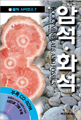암석 화석