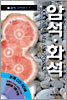 암석 화석