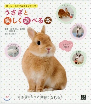 うさぎと樂しく遊べる本