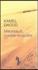Meursault, Contre-Enquete
