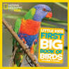 National Geographic Little Kids First Big Book of Birds