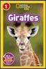 Giraffes