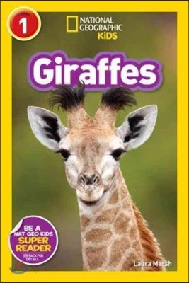 Giraffes