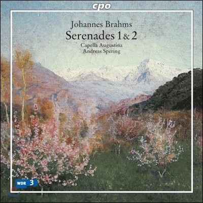 Andreas Spering 브람스: 세레나데 1번, 2번 - 시대악기 연주반 (Brahms: Serenades 1 & 2)