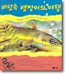 바닷속 뱀장어의 여행