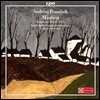Lukasz Borowicz 파누프니크: 관현악 작품 3집 (Andrzej Panufnik: Symphonic Works Vol.3)