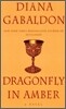 Dragonfly in Amber