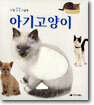 아기고양이