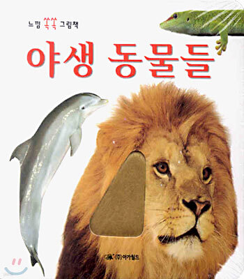 야생 동물들