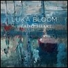 Luka Bloom - Head & Heart