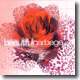 Garbage - Beautiful Garbage