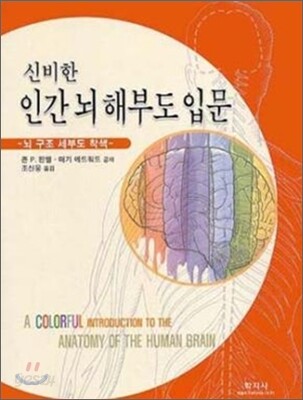 인간 뇌 해부도 입문