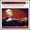 Bruno Walter 브루노 발터가 지휘하는 베토벤 교향곡 전집 (Conducts Beethoven: Symphonies, Overtures, Violin Concerto)