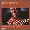 David Fathead Newman - I Remember Brother Ray