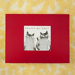 노아 메모메모 캣챠~中