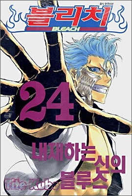 블리치 BLEACH 24