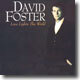 David Foster - Love Lights The World