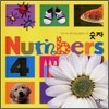Numbers 숫자