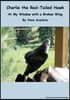 Charlie the Red-Tailed Hawk: At My Window With a Broken Wing