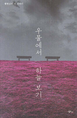 우물에서 하늘 보기