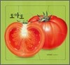 야채 퍼즐