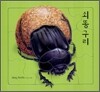 곤충 퍼즐