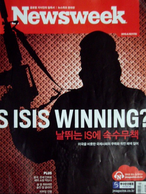 뉴스위크 Newsweek 2015.6.15 (한국판)