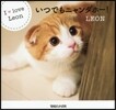 いつでもニャンダホ-!