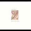 Luka Bloom - Before Sleep Comes