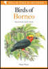 Field Guide to the Birds of Borneo