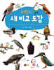 어린이 새 비교 도감