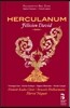 Veronique Gens / Herve Niquet 펠리시앙 다비드: 오페라 '헤르쿨라눔' 한정판 (Felicien David: Herculanum)