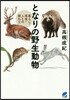 となりの野生動物