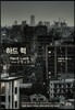 하드 럭