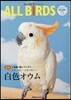 ALL BiRDS   6