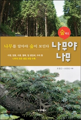 나무야 나무