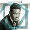 Marvin Gaye - Stubborn Kind Of Fellow - The Legend Begins 마빈 게이 [LP]